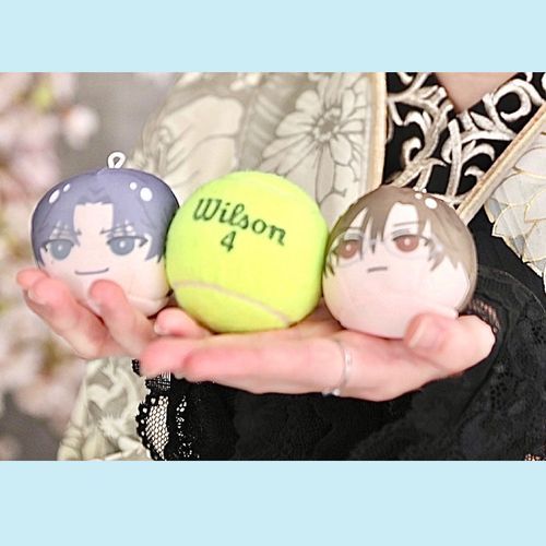 団子三兄弟🎾🍡