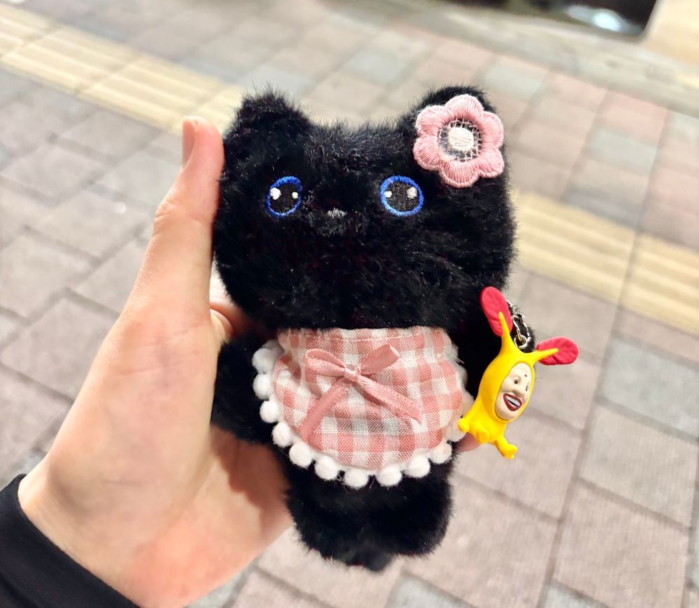 麻辣ぬこでし。

飼い主っちはガチャガチャするためにまーた余計なものを買ってたよ😸お金ないのにね。

ヤックァっておやつ、👤｢2枚重ねて咥えると出っ歯になるんだぜー🦷｣って飼い主っちがふざけてたよ。ガキすぎるよねーー^._.^

黄色いこびとさんは、現金なくて困ってるおねいさんを助けたらお礼にくれたんだー。素敵なおねいさんだったなぁ🎶