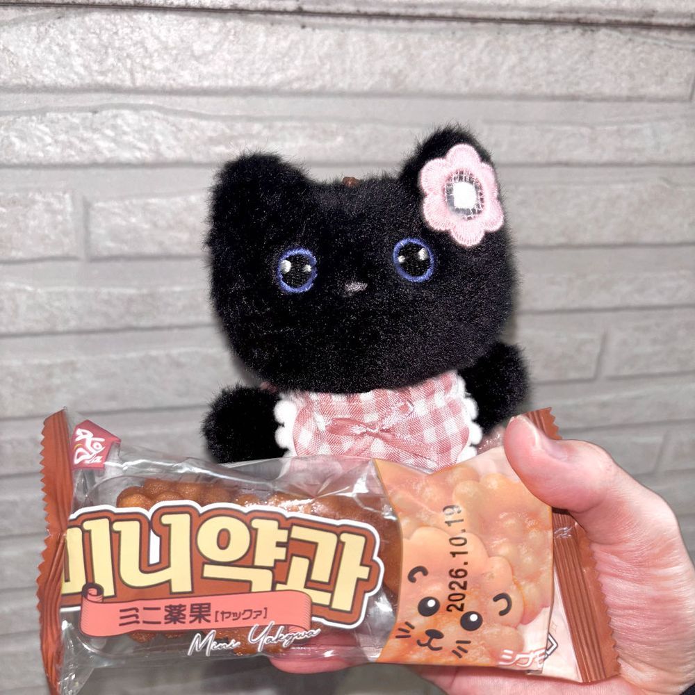 麻辣ぬこでし。

飼い主っちはガチャガチャするためにまーた余計なものを買ってたよ😸お金ないのにね。

ヤックァっておやつ、👤｢2枚重ねて咥えると出っ歯になるんだぜー🦷｣って飼い主っちがふざけてたよ。ガキすぎるよねーー^._.^

黄色いこびとさんは、現金なくて困ってるおねいさんを助けたらお礼にくれたんだー。素敵なおねいさんだったなぁ🎶
