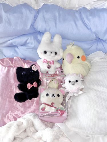 🎀｡･ﾟ♡ﾟ･｡🎀｡･ﾟ♡ﾟ･｡🎀
夜帳ふぁみりー⊂(  ᴖ ̫ᴖ)⊃🎶

🐈‍⬛麻辣ぬこ
🐰たっちさん
🐤母いんこ/いんこてゃ
🧸🍓コリさん
🦭きゅむちゃん
（⬆️昨日お迎えしました♡）
