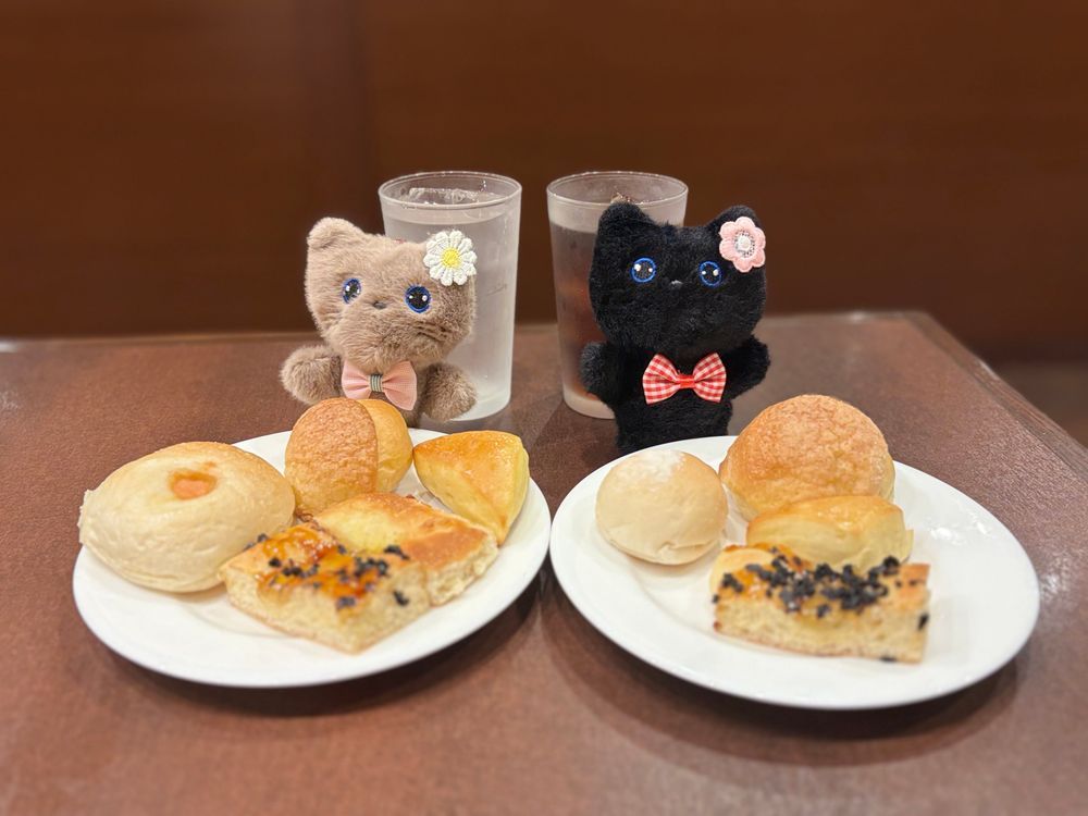 麻辣ぬこでし。
久々相方と合致🐈‍⬛🐈🎶
鎌倉パスタでパン食べ放題ドカ食いしまちた。