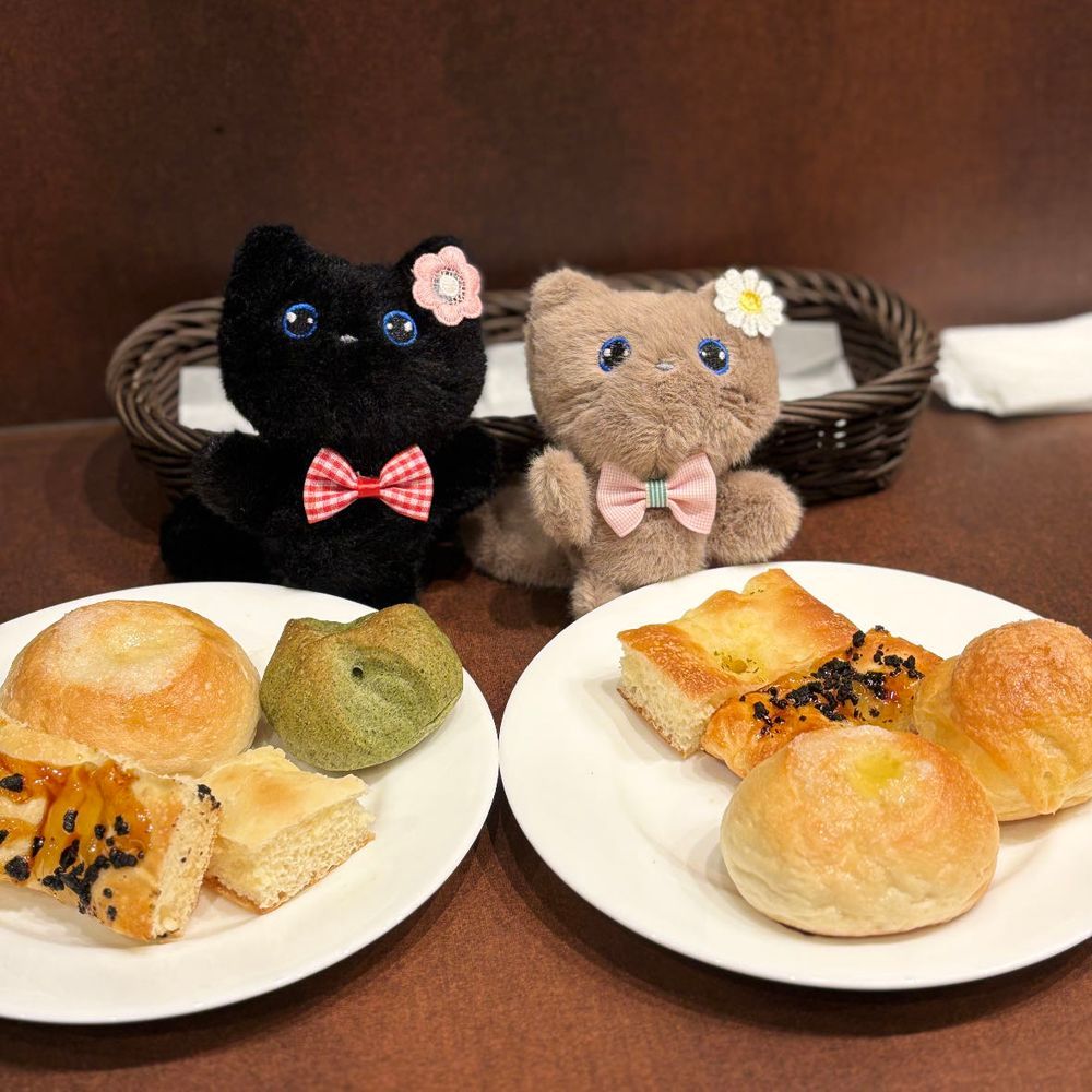 麻辣ぬこでし。
久々相方と合致🐈‍⬛🐈🎶
鎌倉パスタでパン食べ放題ドカ食いしまちた。