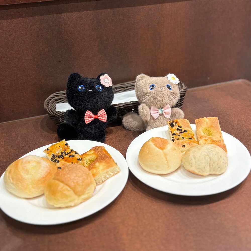 麻辣ぬこでし。
久々相方と合致🐈‍⬛🐈🎶
鎌倉パスタでパン食べ放題ドカ食いしまちた。