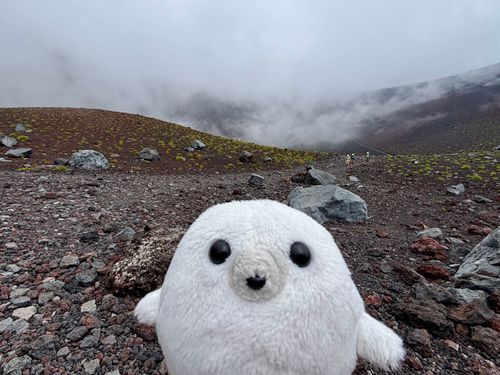 なんか、仙人とか居そうね🦭