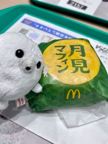 朝マックなんていつぶりょ、、
あらゆる月見を摂取していきたいわね🦭🌕🍳 𓈒𓂂𓏸