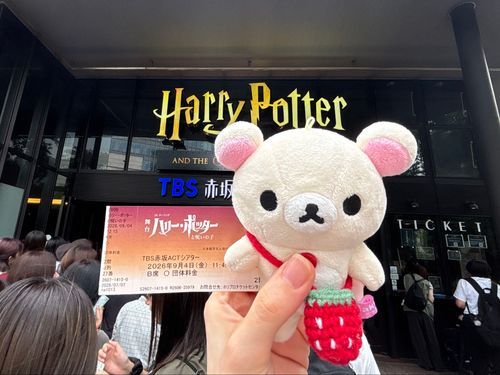 🍓🧸🪄︎︎✨🌟
ﾃｰﾚｰ ﾚ↑ﾚｰﾚｰ ﾚ↑ｰﾚｰﾚｰ
(めちゃくちゃ面白かったのに暗いと寝ちゃう人)