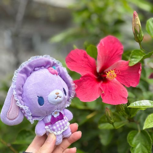 沖縄きたの🌺💟