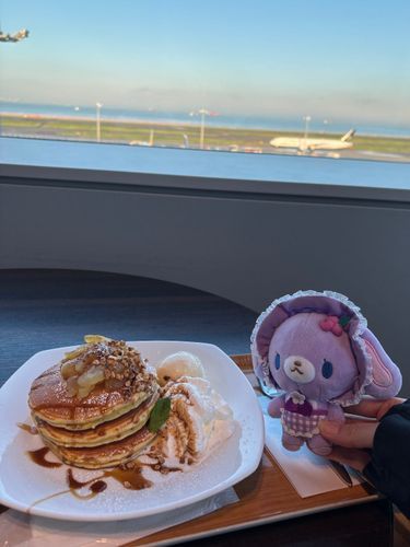 ✈️もどってきたよ
