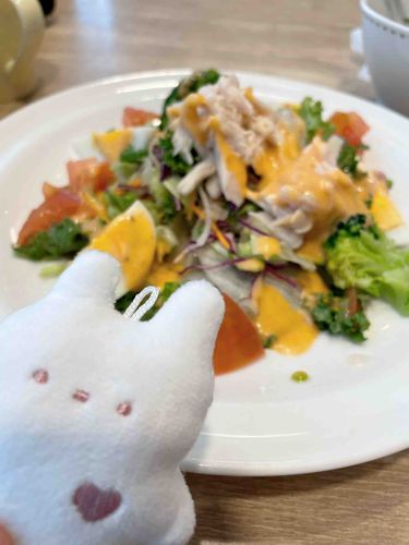 はじめまして！写真撮るの下手！でもたのしんでやってみますー

マイペースでふわふわなれーちゃんです🐰真っ白にピンクのハートがきゃわ