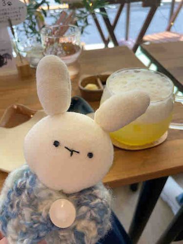 ごりらんど。さん作のうさぎぬいぐるみとお出かけしてきました