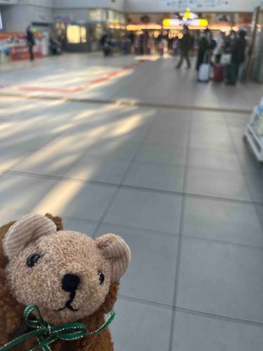 あめちゃんと旅行へ