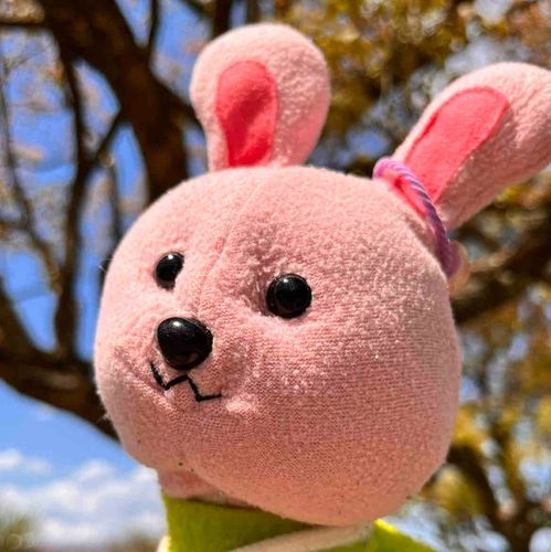 世界でいちばんかわいいうさぎです。
「うさぴょん」か「うーちゃん」って呼んでね♡
みんなのアイドルになれるようにがんばります。