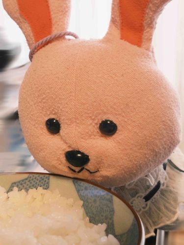 ほんとは にんじん たべたいの…🥕