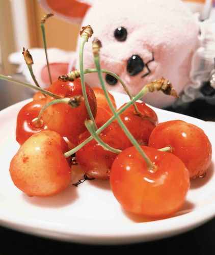 じーーーーっ…