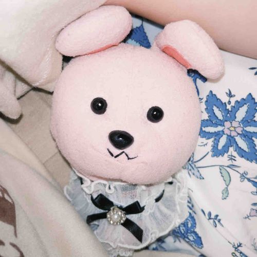 おみみが たれて 犬みたいになっちゃったじゃん🐶🐰