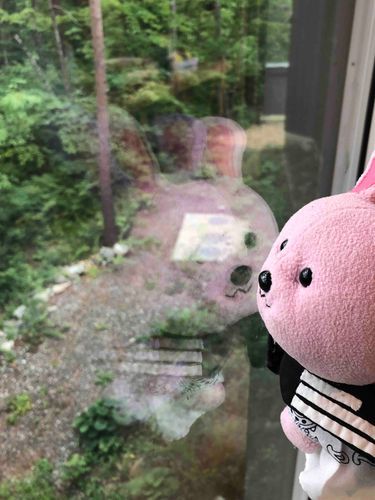 しぜん……🌳にんじんあるかなあ🥕