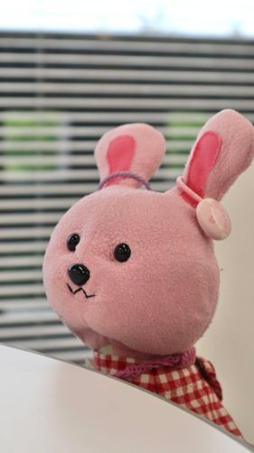 えへへ🐰せんじつ、
ぬいぐるみ座談会してきたの♡
うちゃのぴんしょっと
みんなにきょうゆうするね