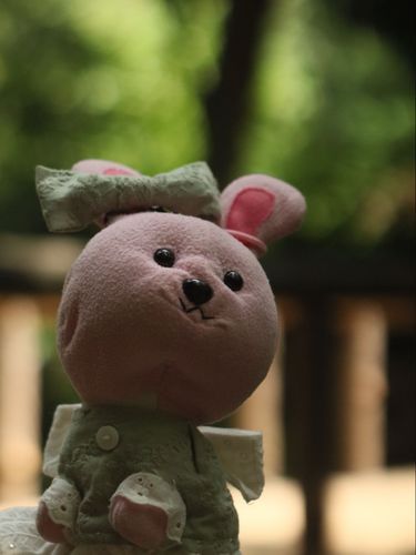 みんなやっほー！うさだよ！🐰
こないだ、「とどろきけいこく」っていう場所にいってきたよ！🍃🌿🌳
空気がきれいで、動物のうさはとってもいやされたよ！みんなもぜひ、いってみて！