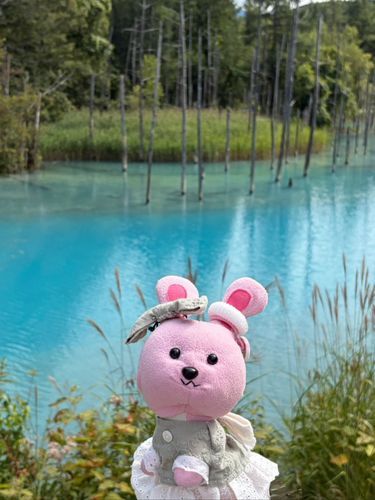 うちゃはついに、こんなにすごいばしょにまで行っちゃったよ！❄⛄️🐮🍦
「あおいいけ」っていうんだって！
みずいろで、かわいかったよ！‪⸜‪‪‪‪‪︎🩵💙🩵⸝‬‬‬‬‬‬‬‬
すごいよね〜〜〜✨🌟✨
