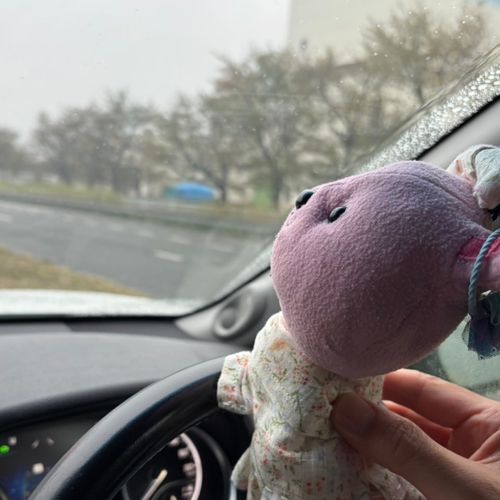 う、うんてん………？┣¨‡┣¨‡

信号待ちの時に、助手席から撮ってもらったよ！🚥