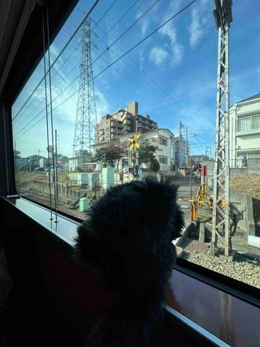 電車だよ〜
どこに行くんだろ？？
今年は色々あったなあ
(クロ)
