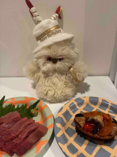 今日で1さいの誕生日！大好物のマグロとケーキでお祝いしてもらってる！立派なねこになります…！
(チュウ)