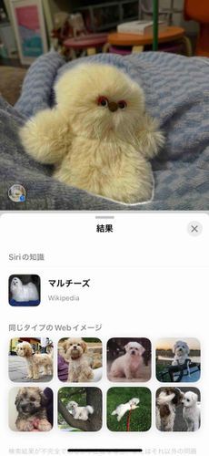 いや、あの、ねこなんだけど…。
(チュウ)