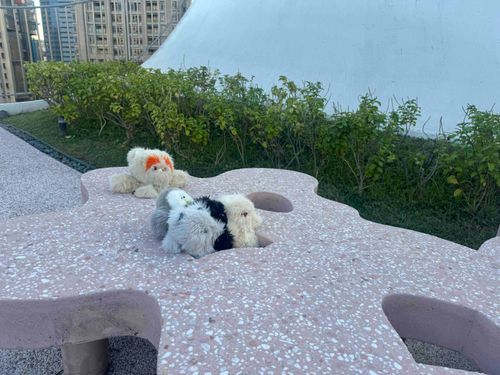 台湾にある有名な建築家の建物を見にきた！
かっこいいベンチの穴に埋まってみたよ〜
(チュウ)