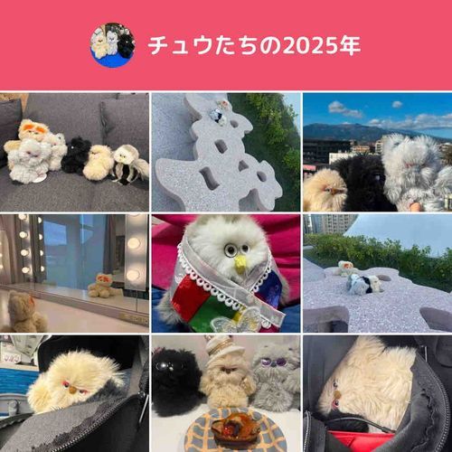 今年はいろんなとこに出かけたなあ〜。
あと２日で年越しだけど、残りも楽しんで過ごす🤝
(チュウ)