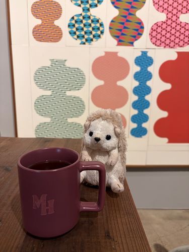 たまには違うお店でお茶してきたよ〜☕️
ゆったりとした空間でのんびりおしゃべりが出来たよ〜