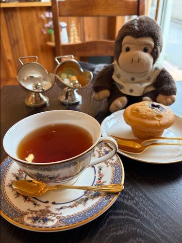 ママ、珍しくゴリタを連れてってくれたよ。
マフィンはブルーベリーが中にたっぷり入ってて、美味しかったよー🦍