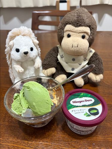 ママがまた寒天を作ったから、抹茶アイスのせてたべたよ。
黒蜜がクセになるんだってー。