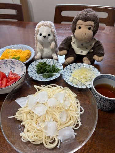 太めのお素麺を食べたよ☀️
薬味たっぷり入れる派だよー