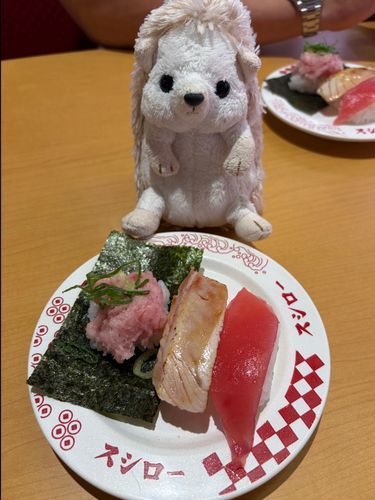 スシロー🍣に行ってきたよ。
1番好物のえんがわがなかったけど、どれも美味しかったよ〜