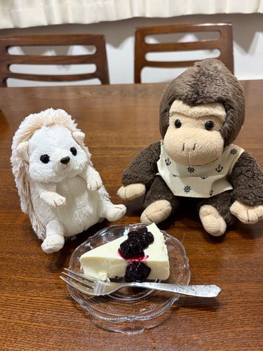 ママがレアチーズケーキ作ったよ。
ブルーベリージャム🫐をかけて食べたよー