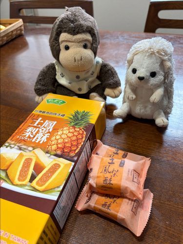 台湾のパイナップルケーキ買ってきたよ🍍日本のお店で買ってきたんだけどね🤭
