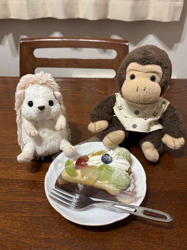 ぶどうのタルト🍇を半分こして、食べたよ〜
甘いもの食べ過ぎて、ハリちゃんのお腹周りが。。
