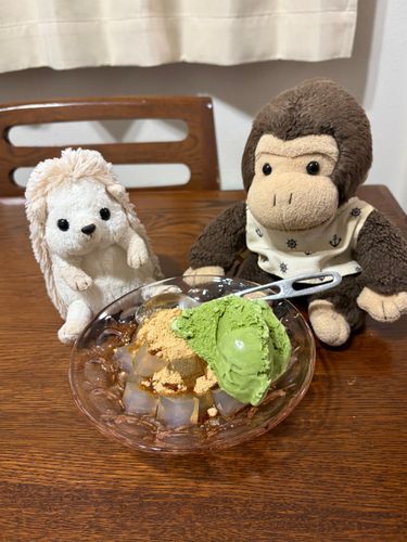 黒蜜きなこ寒天に、抹茶アイスをのせたよー💕
ママたちは渋いスイーツが好きみたい🤭