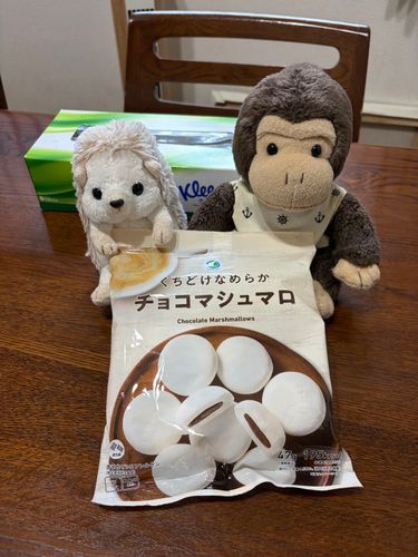 ねえねが、買ってきてくれたチョコマシュマロ🍫
コレ、美味しいよ💕