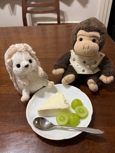 レアチーズケーキ食べたよ✨
夜に食べる甘いものは、魅力的だよね。