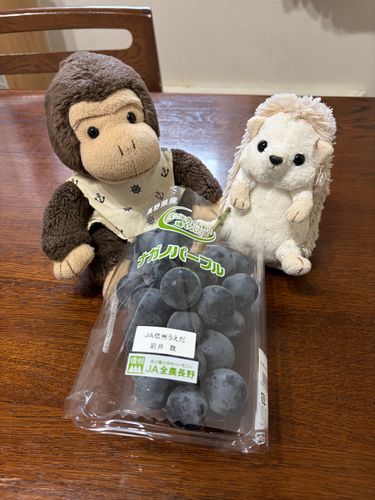 色々な種類のブドウ🍇売ってるけど、どれも美味しいよね〜
ナガノパープルは味が濃くて甘いよ。
大切に4粒ずつ🤭