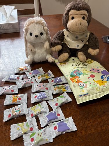 のど飴買ってきたよー🍎
ポケモンキャラクターが偏って入ってたよー