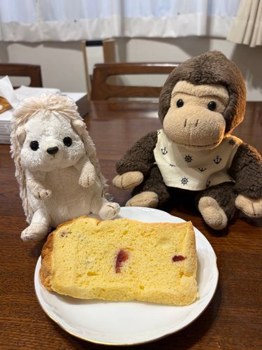 ねえねが、シフォンケーキを買ってきてくれたよ〜☕️
ふわっふわっで、美味しかったなぁ💕