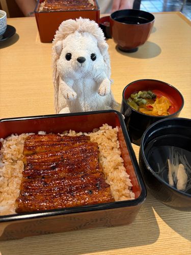 こないだお昼にうなぎを食べたよ
ママはもうおばだから、小さなうなぎだよ〜🤭