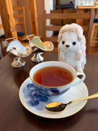 連休中でもパパはお仕事なので、いつものカフェで読書してきたよ〜📚