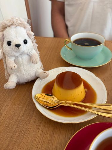 手作りプリン🍮と紅茶でパパとおしゃべりしてきたよー☕️
秋晴れで気持ちよかったよ☀️