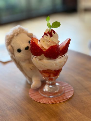 どぉ？苺のパフェ先取りだよ🍓
フルーツパーラーに行ってきたよ〜
