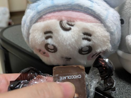 初デビュー記念！
ばぶ子ちゃんと一緒にチョコレート食べました🍫