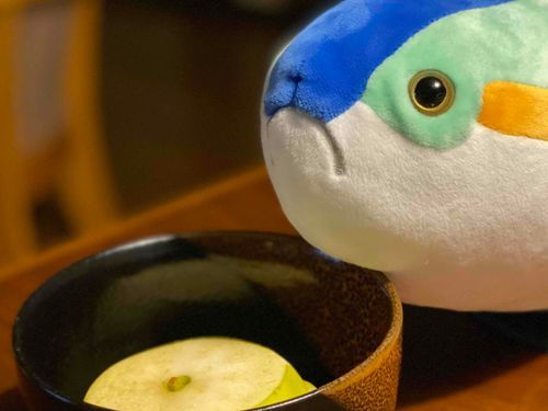 りんごは僕が乗っ取った！
