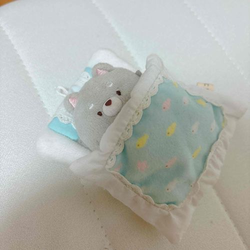 こがゅと最近は毎日一緒に寝ています